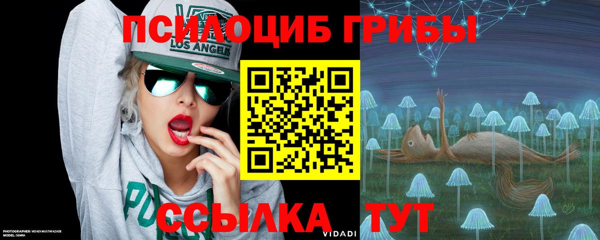 Галлюциногенные грибы Psilocybine cubensis  Вход с VPN  Алатырь  Галлюциногенные грибы Cubensis 